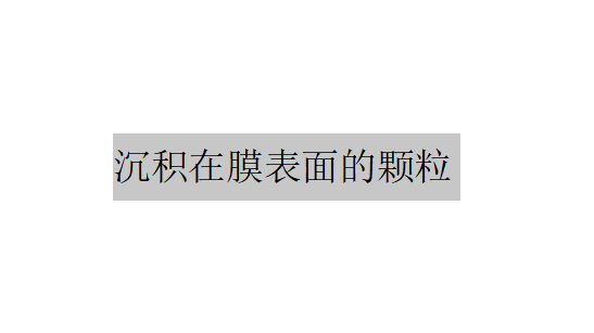 沉積在膜表面的顆粒主要受到哪兩個方向的力的作用？