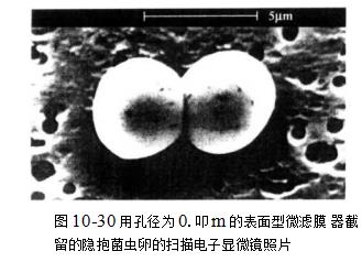 微濾有哪些作用？（微濾操作效果）